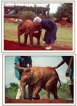 Screen Shot 2014-05-26 at 10.45.41 PM